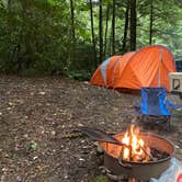 Review photo of Jefferson National Forest Beartree Campground by Matthew , September 5, 2020