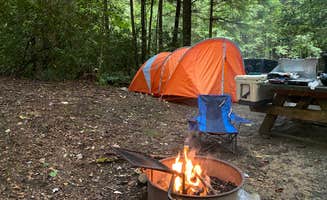 Matthew's photo at Beartree Recreation Area near Rosedale, VA