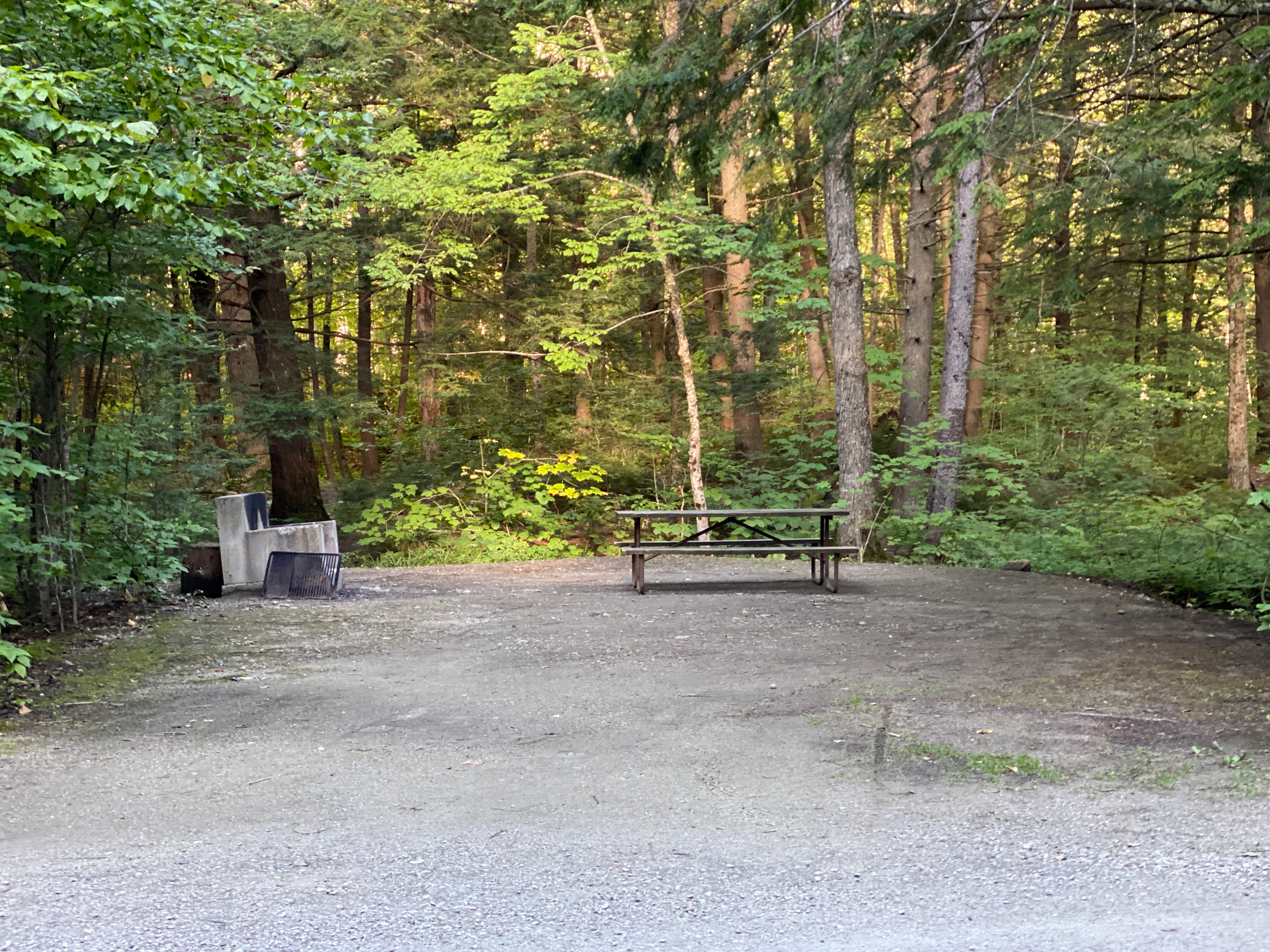 Camper submitted image from Gifford Woods State Park Campground - 3