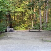 Review photo of Gifford Woods State Park Campground by Rachel  C., September 4, 2020