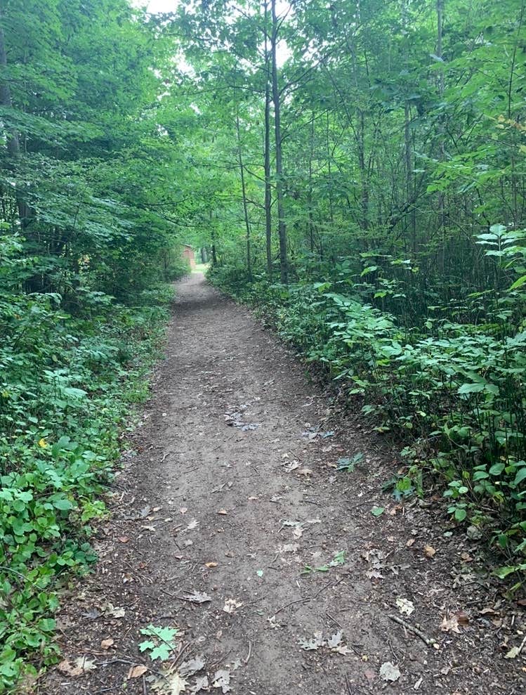 Camper-submitted photo at Lakeport State Park Campground near Avoca, MI