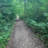 Review photo of Lakeport State Park Campground by Debra B., September 5, 2020