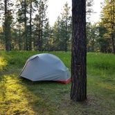 Review photo of Sheridan Lake South Shore Campground by Anna R., September 5, 2020