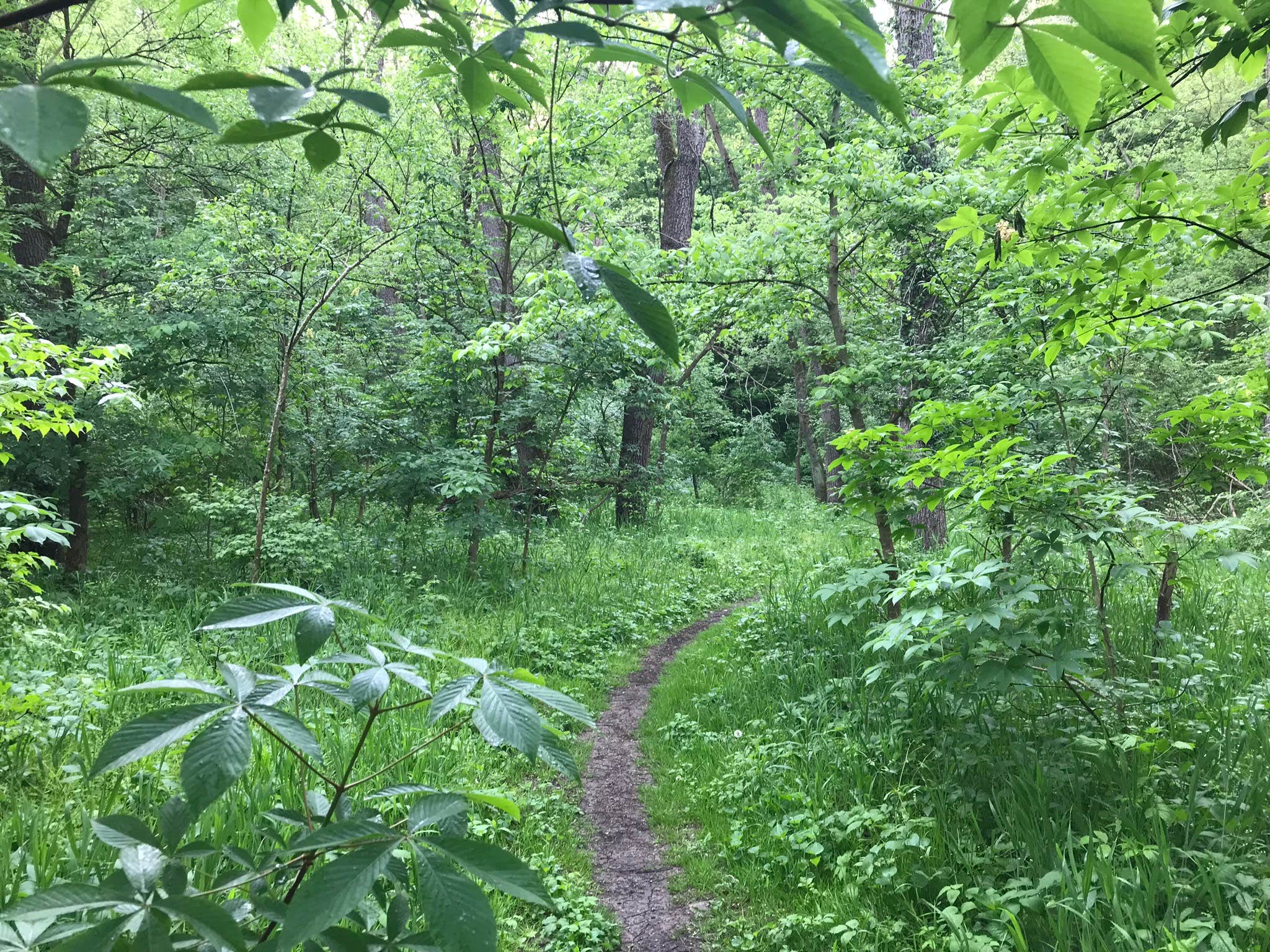 Nature