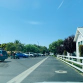 Review photo of Flying Flags RV Resort by Penélope F., September 5, 2020