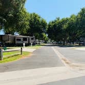 Review photo of Flying Flags RV Resort by Penélope F., September 5, 2020