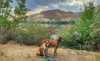 Sara S.'s photo of camping with pets at Three Island Crossing State Park Campground near Wendell, ID