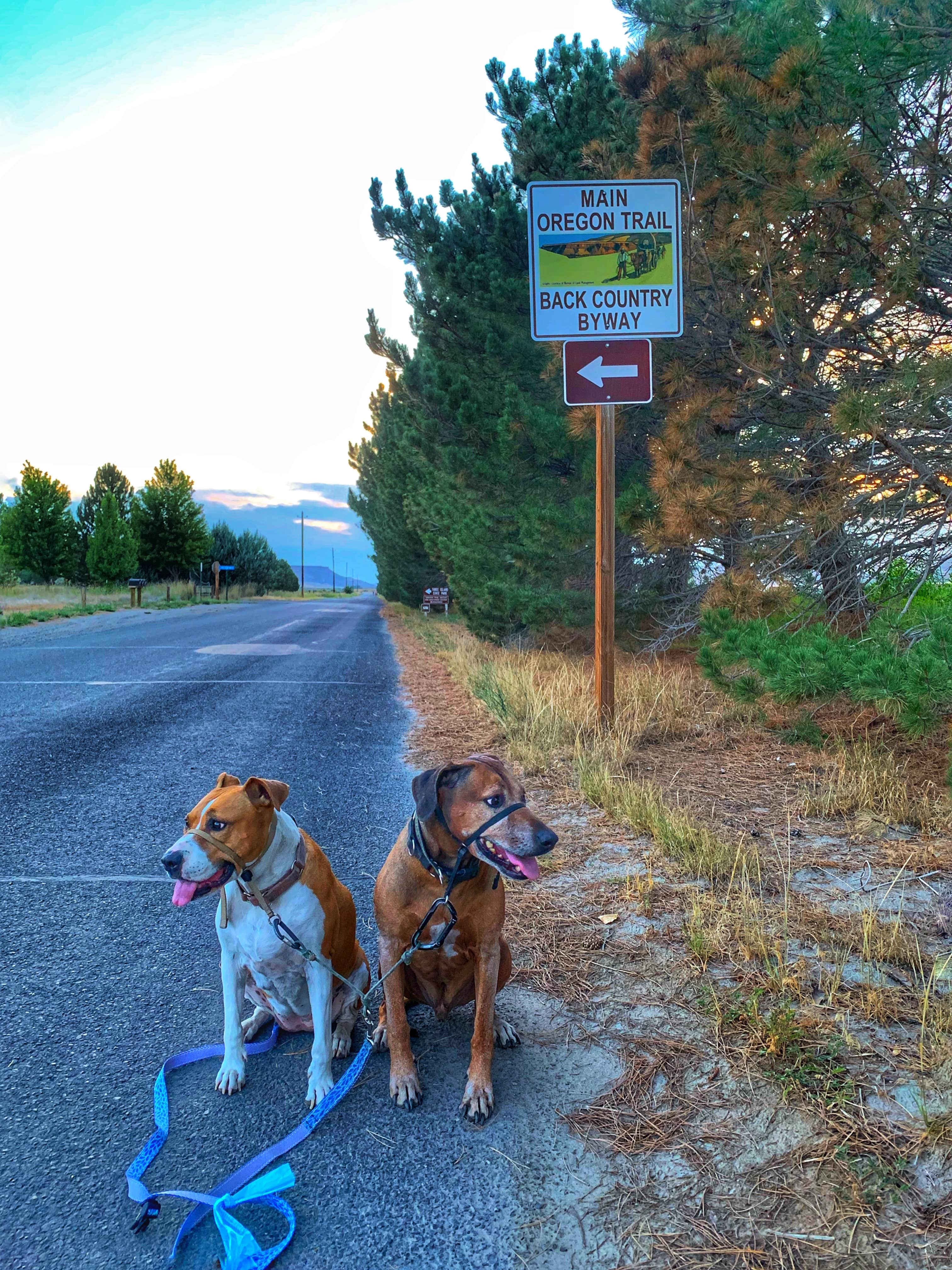 Sara S.'s photo of camping with pets at Three Island Crossing State Park Campground in Idaho