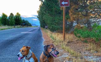 Sara S.'s photo of camping with pets at Three Island Crossing State Park Campground near Filer, ID