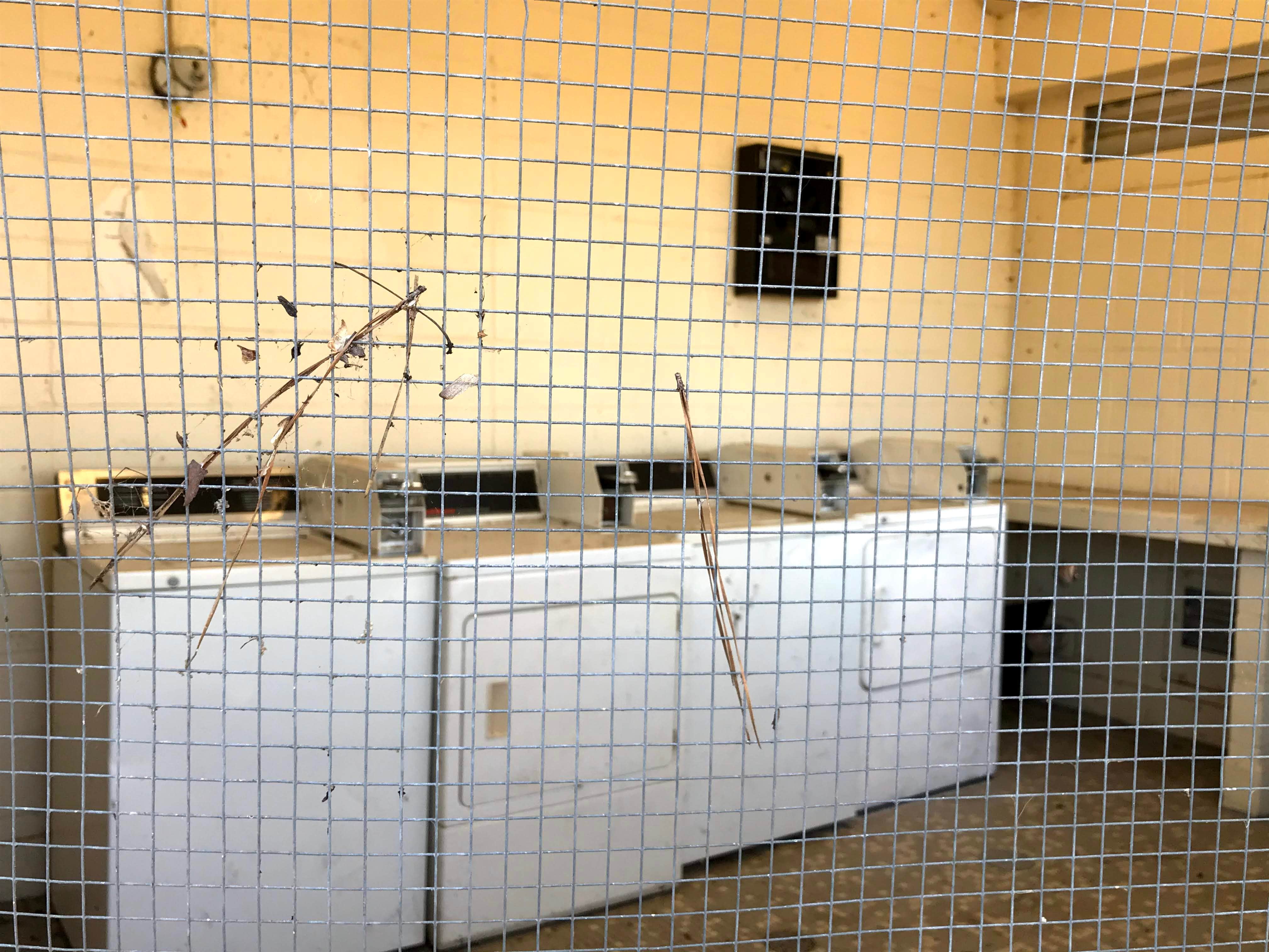 Camper-submitted photo at Arrowhead Park near Warner Robins, GA