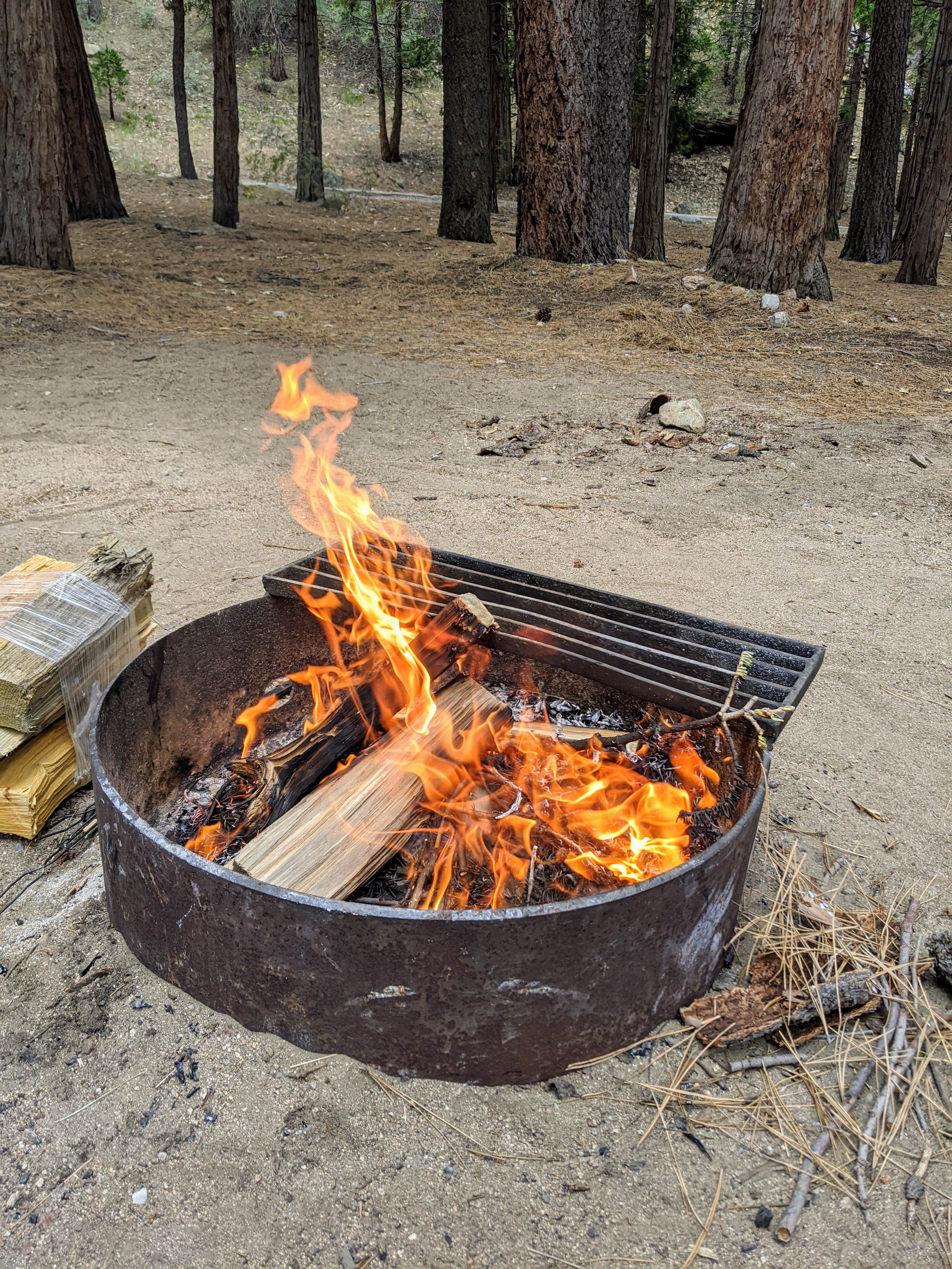 Camper submitted image from South Fork Family Campground - 1