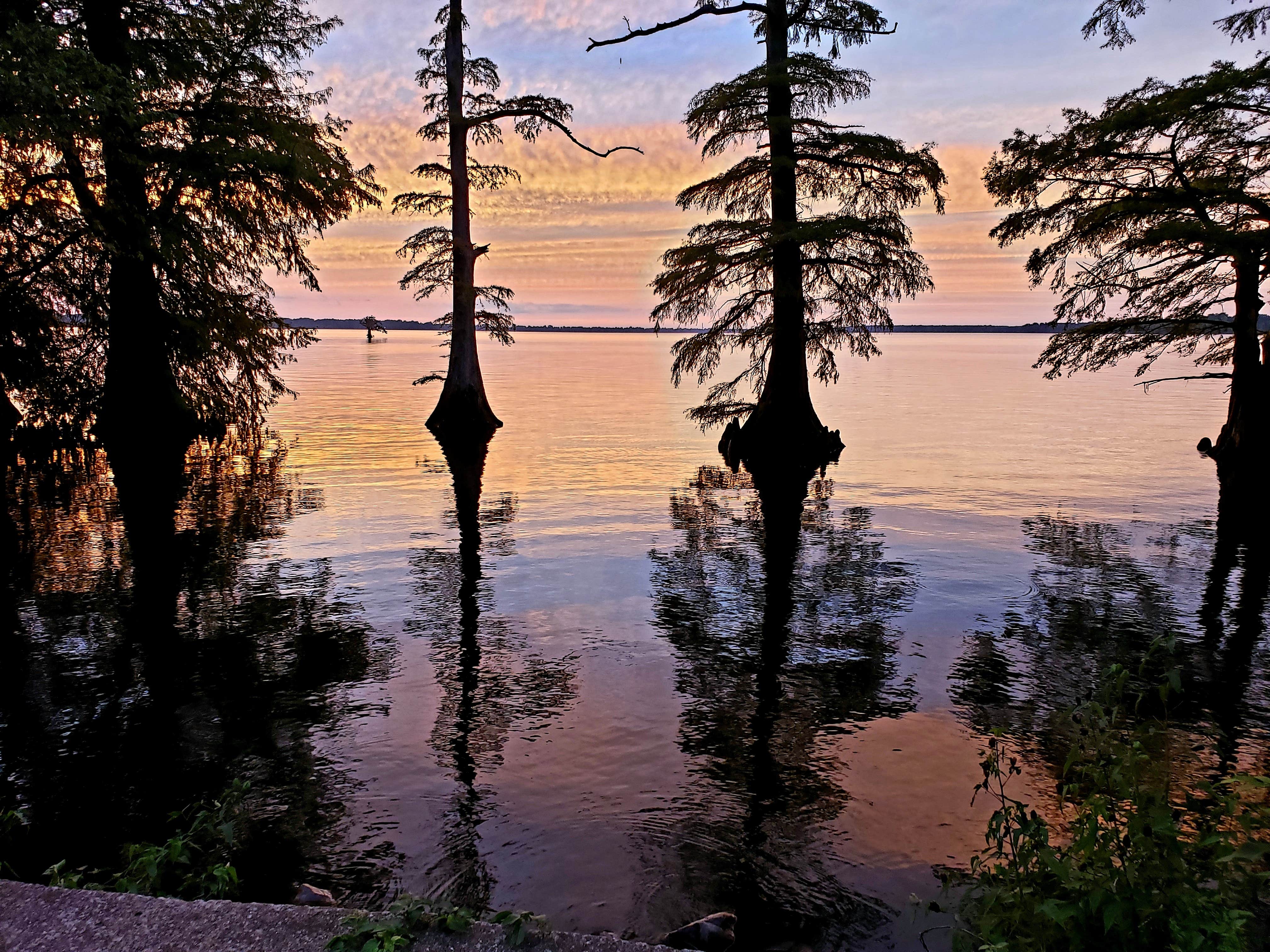 Camper-submitted photo at Airpark North Campground — Reelfoot Lake State Park near Troy, TN
