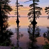 Review photo of Airpark North Campground — Reelfoot Lake State Park by Dennis G., September 5, 2020