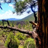 Review photo of Ice Cave & Bandera Volcano by Joseph W., September 5, 2020