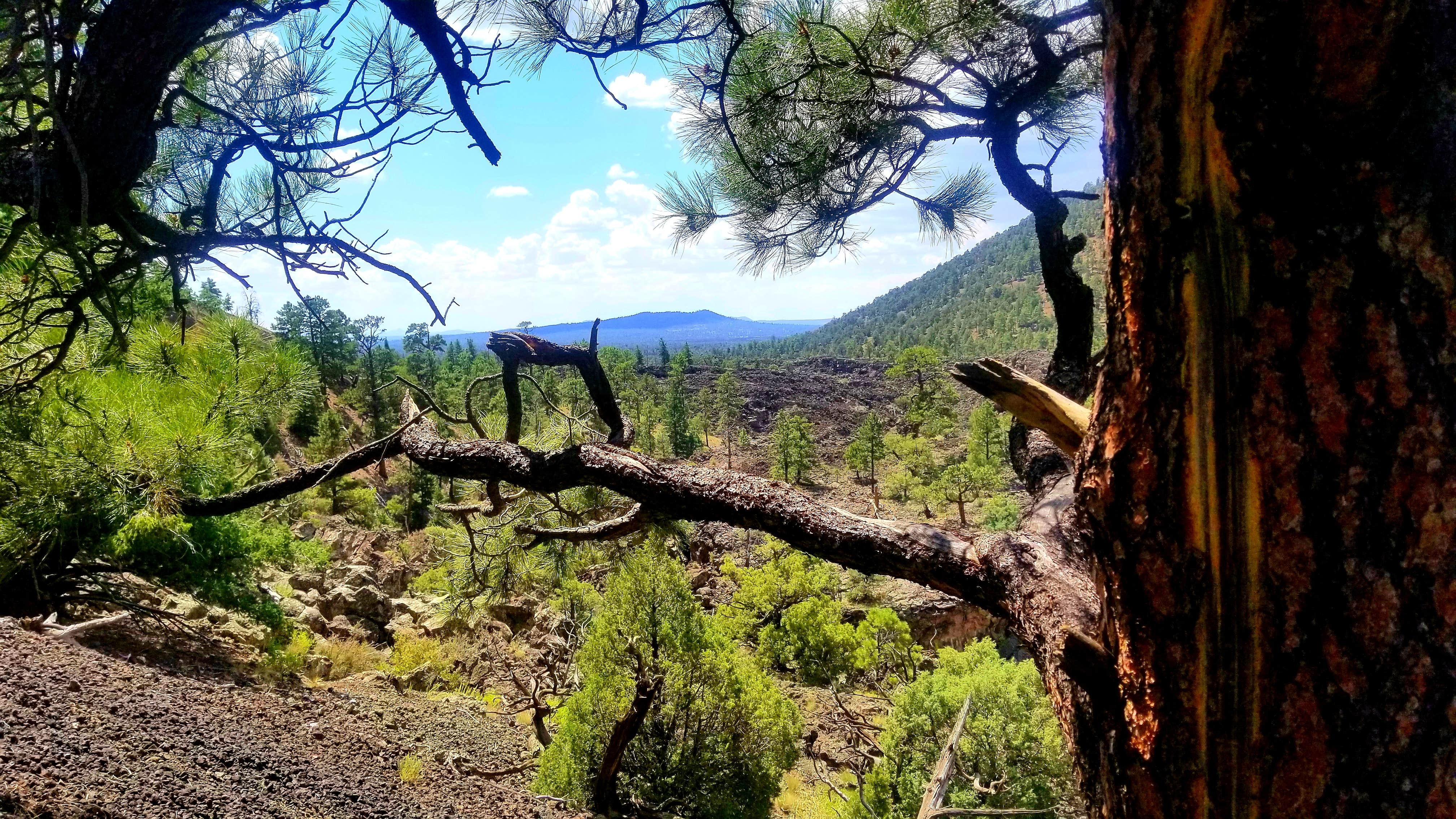 Camper submitted image from Ice Cave & Bandera Volcano - 2