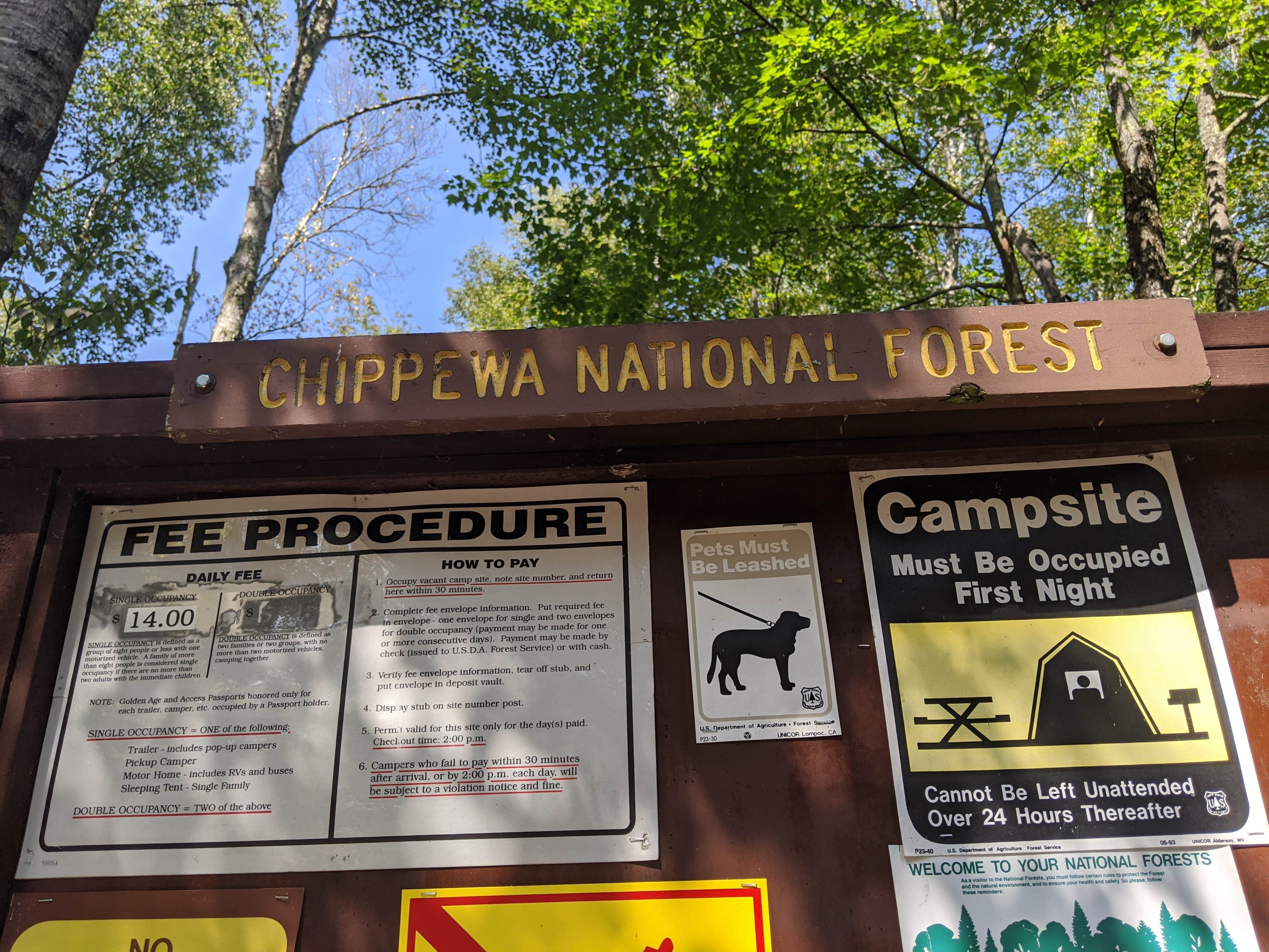 Camper-submitted photo at Webster Lake Campground near Chippewa National Forest