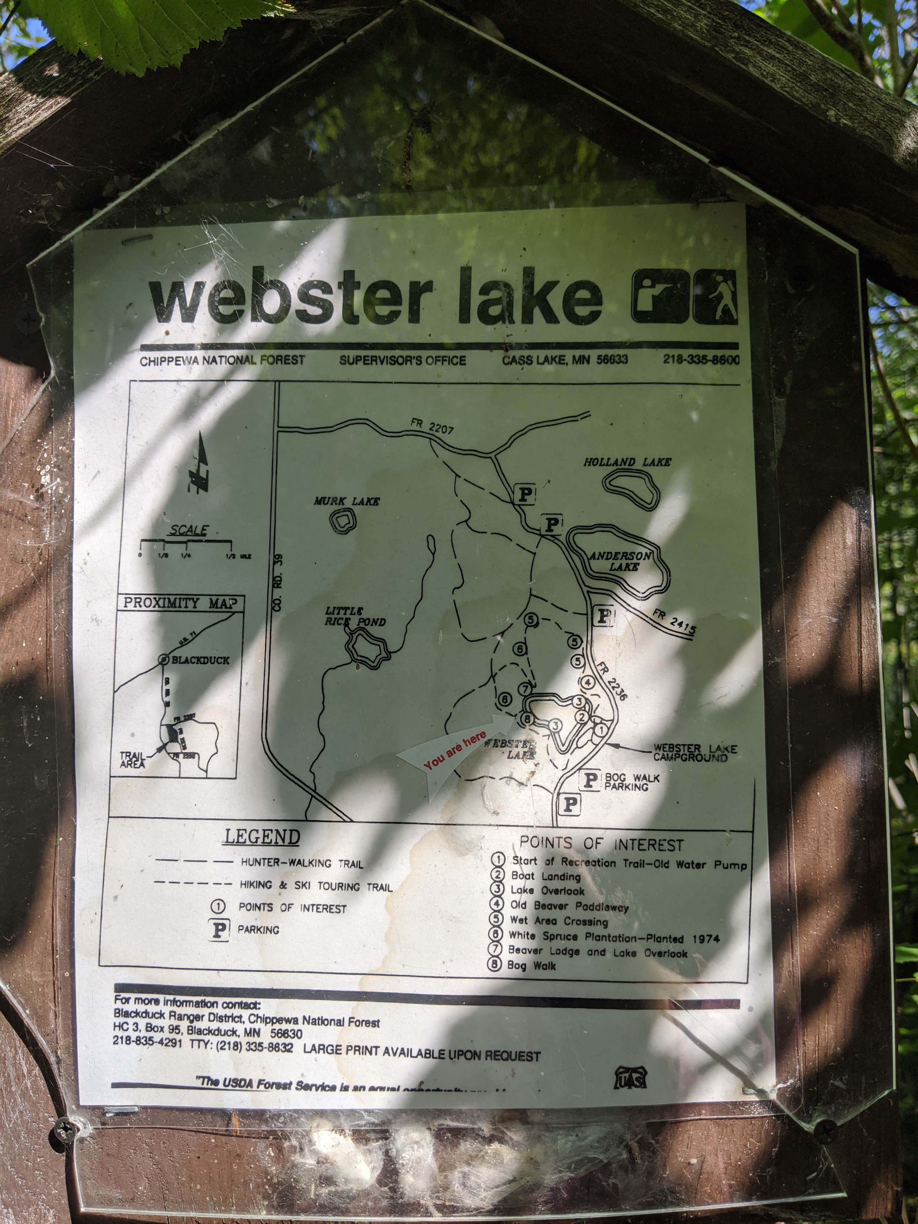 Camper-submitted photo at Webster Lake Campground near Chippewa National Forest