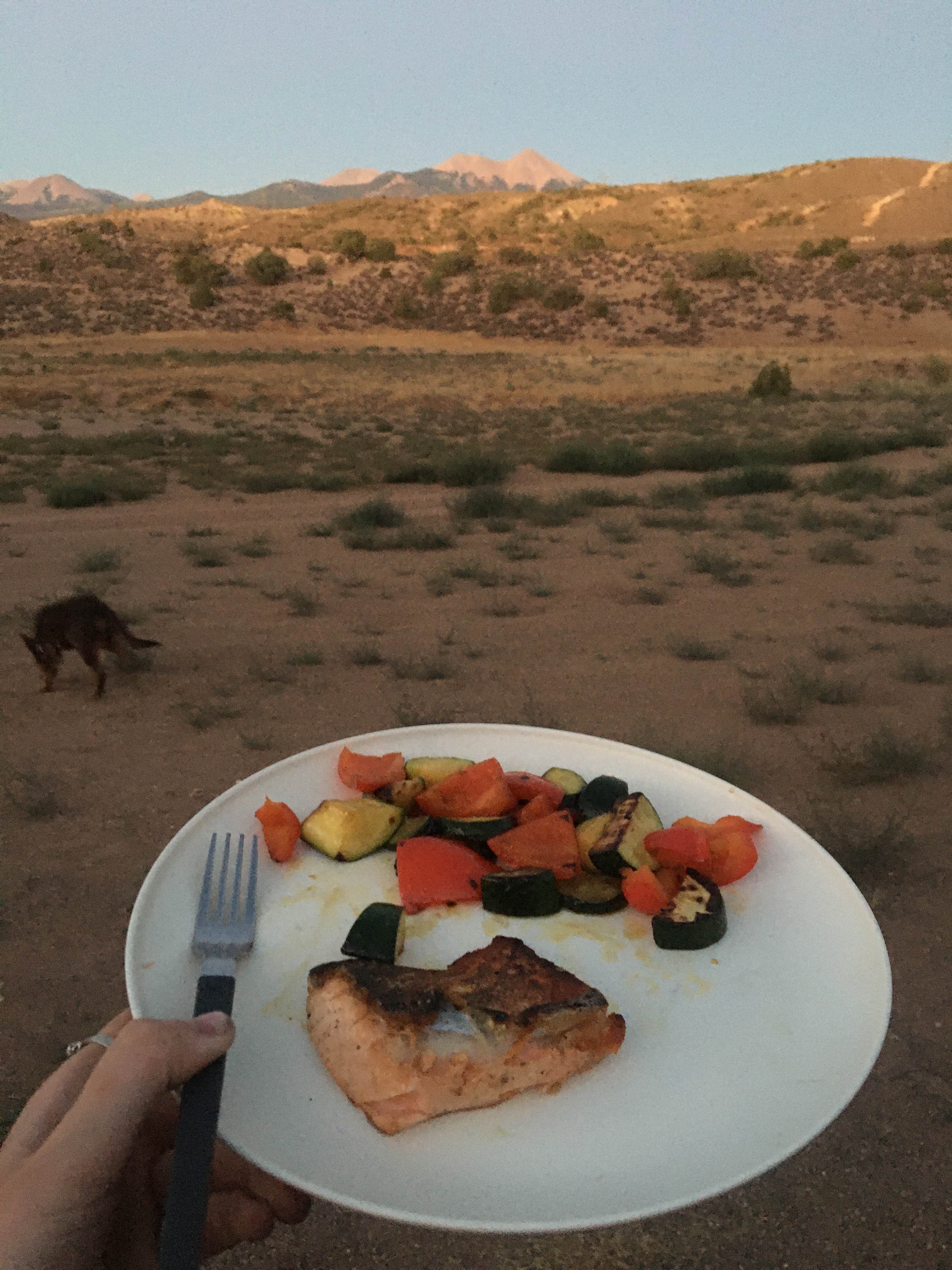 Caitlin's photo of camping with pets at Yellow Circle Road Dispersed Camping Area near La Sal, UT
