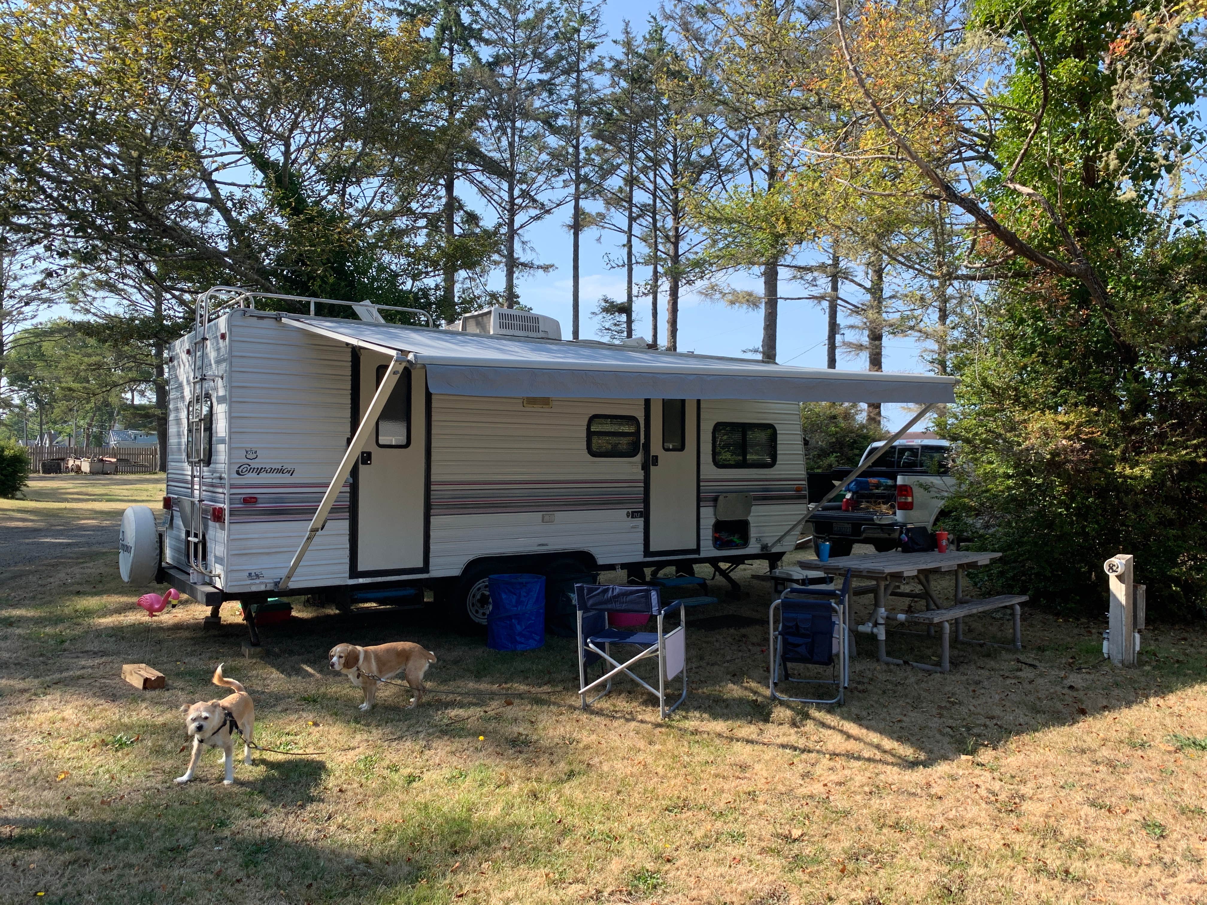 Camper submitted image from Ocean Bay Mobile and RV Park - 2