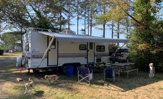 Adam W.'s photo at Ocean Bay Mobile and RV Park near Oysterville, WA