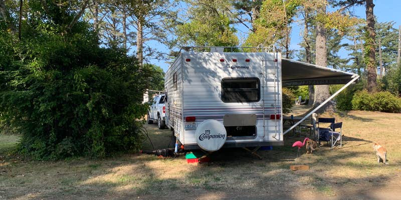 Camper submitted image from Ocean Bay Mobile and RV Park
