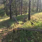 Review photo of Nebraska National Forest at Chadron by Susan L., September 5, 2020