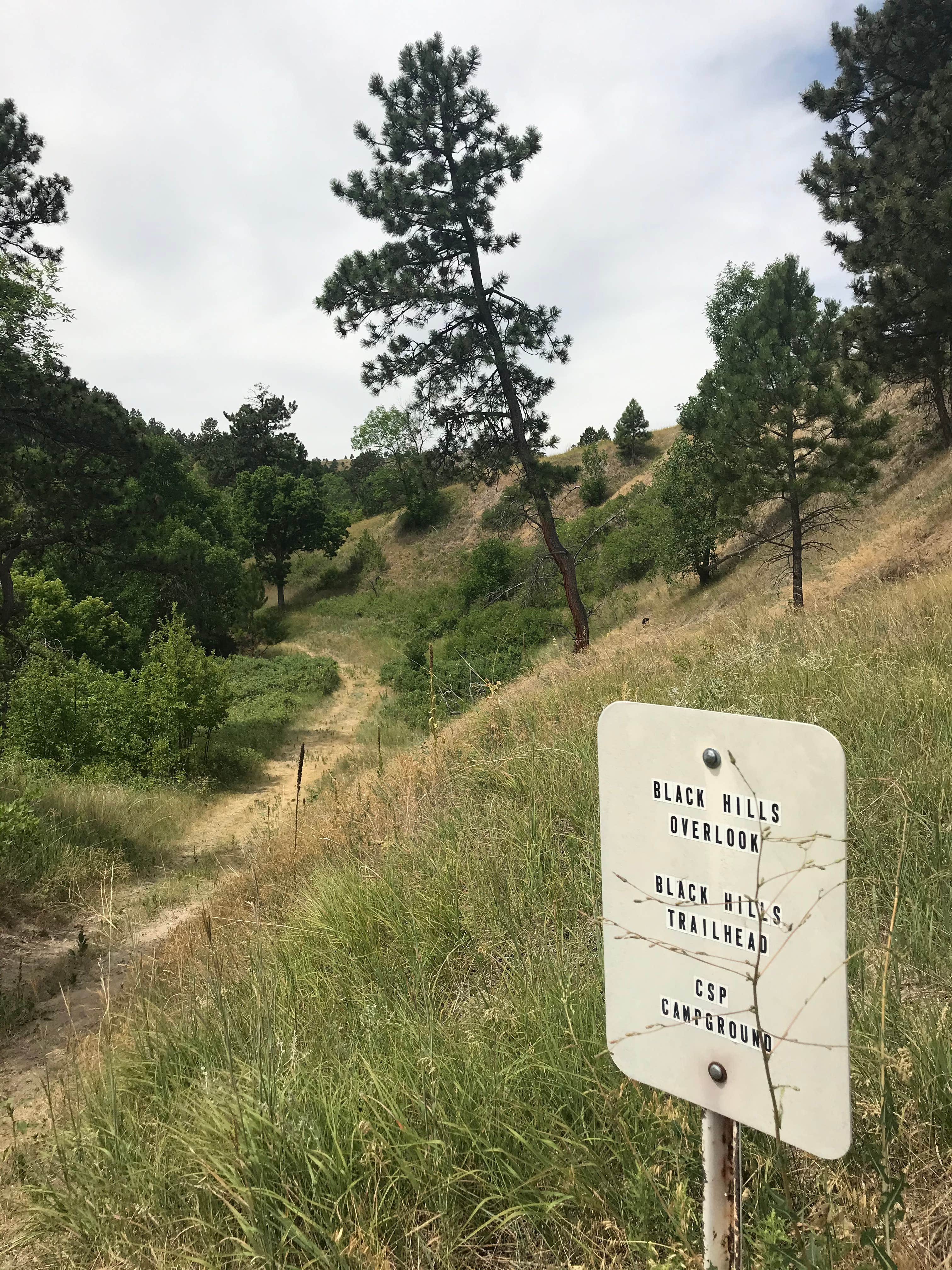 Camper submitted image from Nebraska National Forest at Chadron - 3