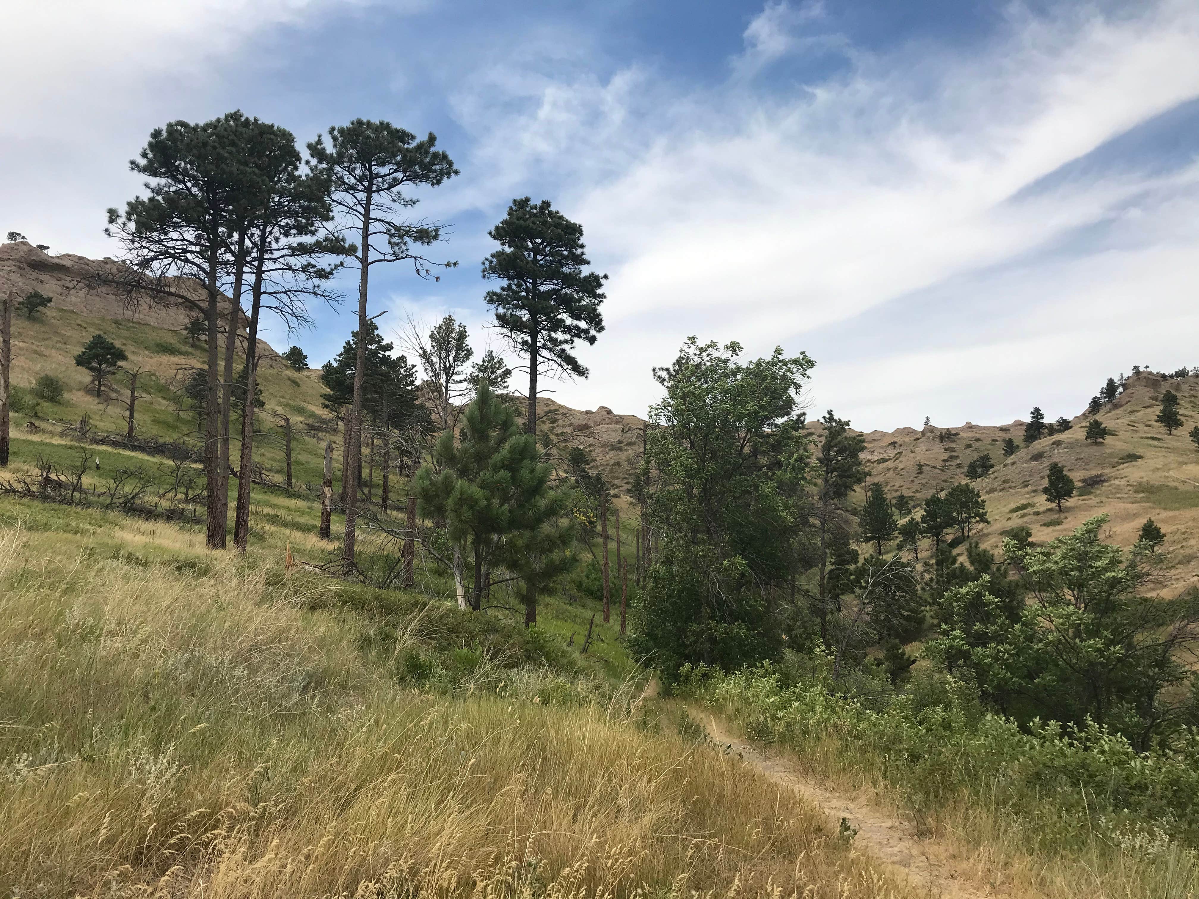 Camper-submitted photo at Nebraska National Forest at Chadron near Nebraska National Forests and Grasslands