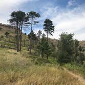 Review photo of Nebraska National Forest at Chadron by Susan L., September 5, 2020