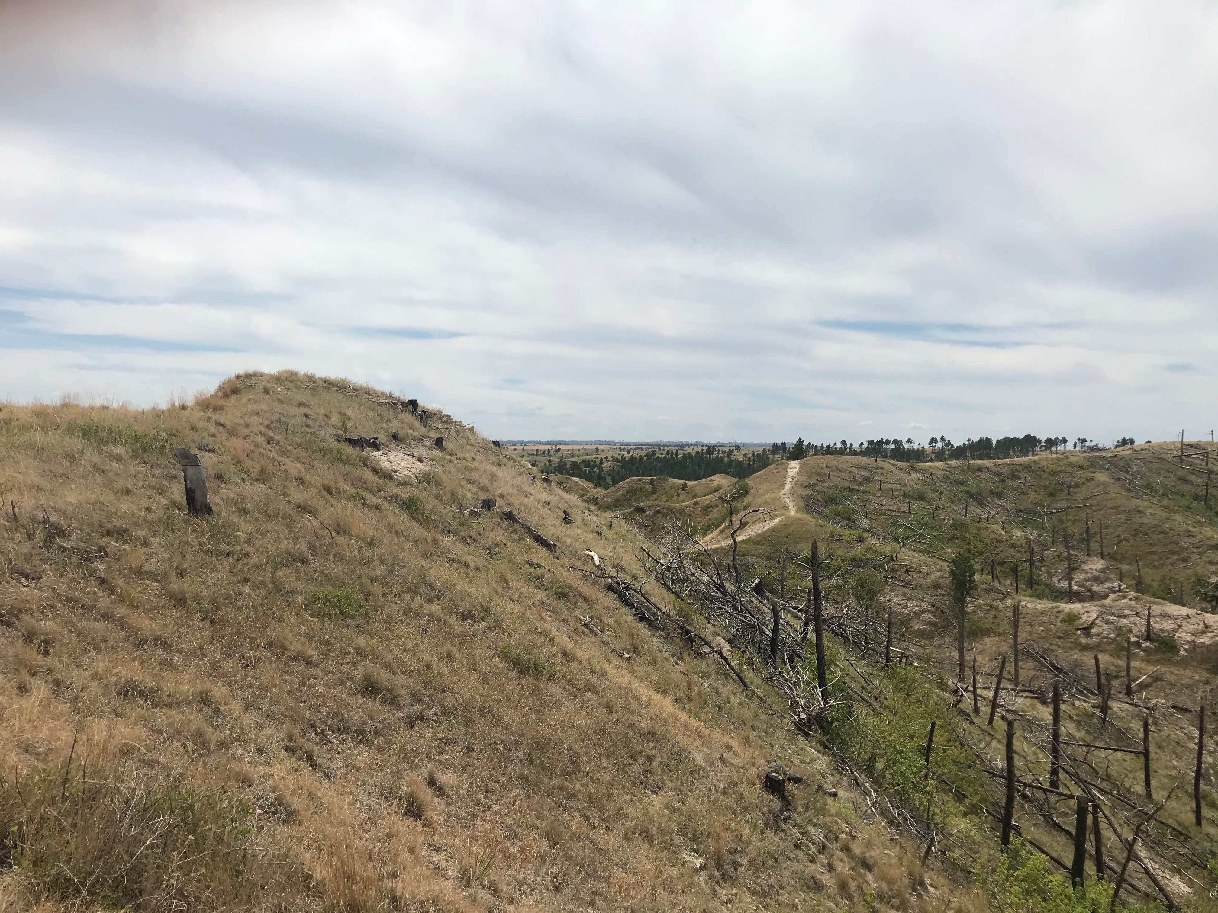 Camper submitted image from Nebraska National Forest at Chadron - 1