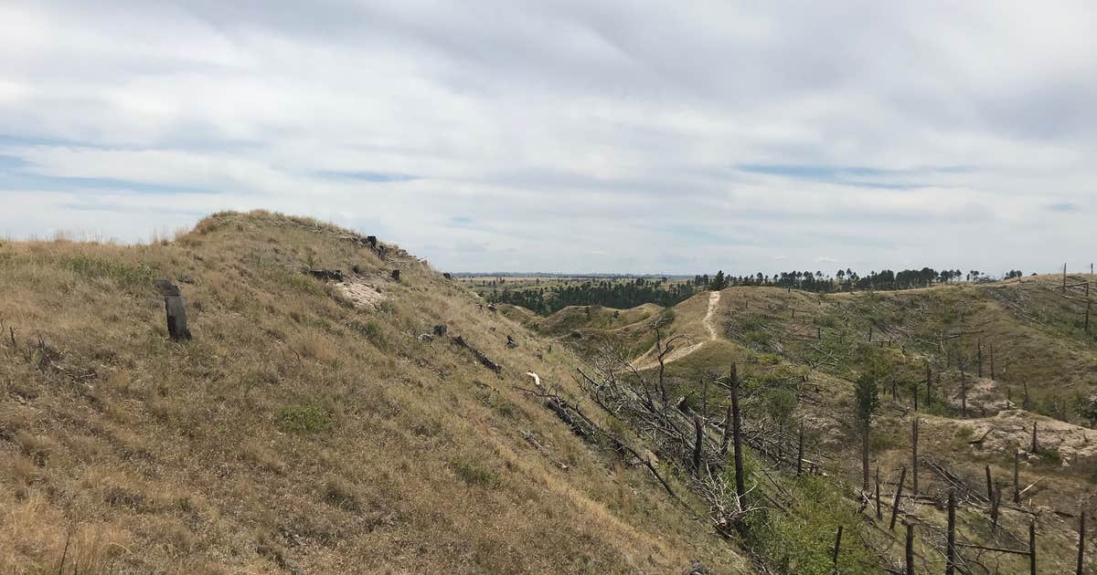 Nebraska National Forest at Chadron