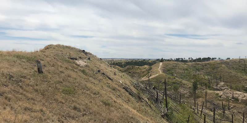 Camper submitted image from Nebraska National Forest at Chadron