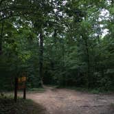 Review photo of Levi Jackson Wilderness State Park Campground by Joanna H., July 7, 2016