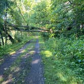 Review photo of Greenbrier River Trail Mile Post 9.5 Primitive Campsite (Between Keister and Hopper, WV) by Dave V., September 6, 2020