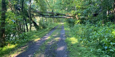 Roads