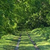 Review photo of Greenbrier River Trail Mile Post 9.5 Primitive Campsite (Between Keister and Hopper, WV) by Dave V., September 6, 2020