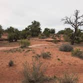 Review photo of Horsethief Campground by Jenny R., May 14, 2018