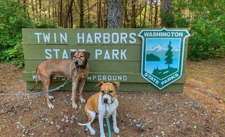 Sara S.'s photo of camping with pets at Twin Harbors State Park Campground near Ocean Shores, WA