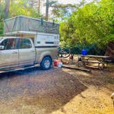 Review photo of Twin Harbors State Park Campground by Sara S., September 6, 2020