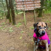 Review photo of Twin Harbors State Park Campground by Sara S., September 6, 2020