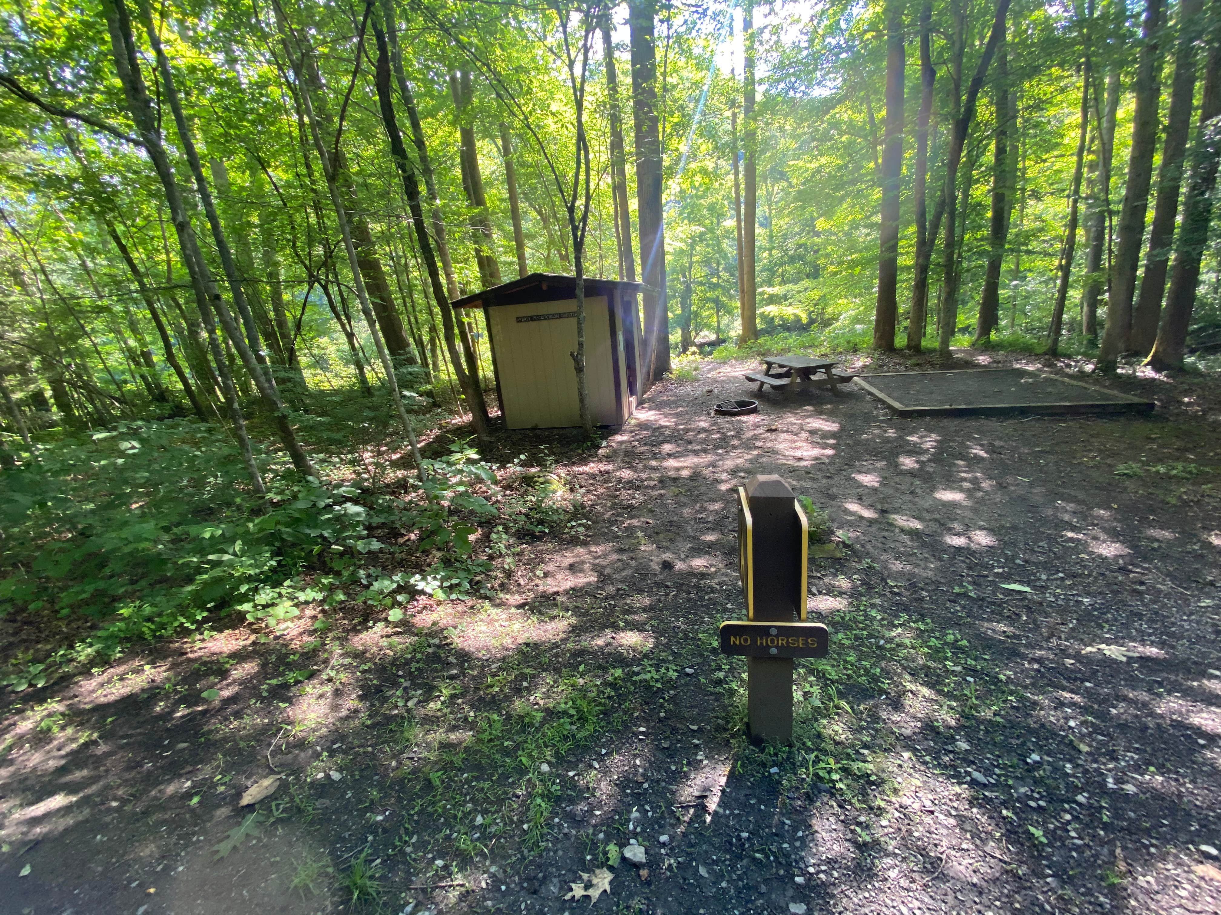 Camper submitted image from Greenbrier River Trail Mile Post 9.5 Primitive Campsite (Between Keister and Hopper, WV) - 3