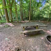 Review photo of Greenbrier River Trail Mile Post 9.5 Primitive Campsite (Between Keister and Hopper, WV) by Dave V., September 6, 2020