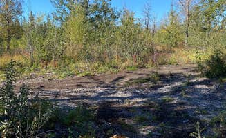 Tanya B.'s photo of camping with pets at Jim Creek Recreational Campground near Palmer, AK