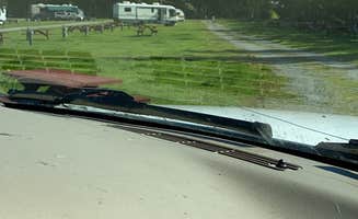 Tanya B.'s photo of rv camping at Mountain View RV Park near Girdwood, AK