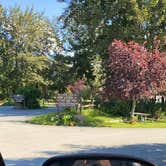 Review photo of Matanuska River Park Campground by Tanya B., September 6, 2020