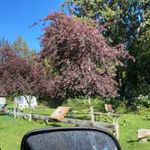 Review photo of Matanuska River Park Campground by Tanya B., September 6, 2020