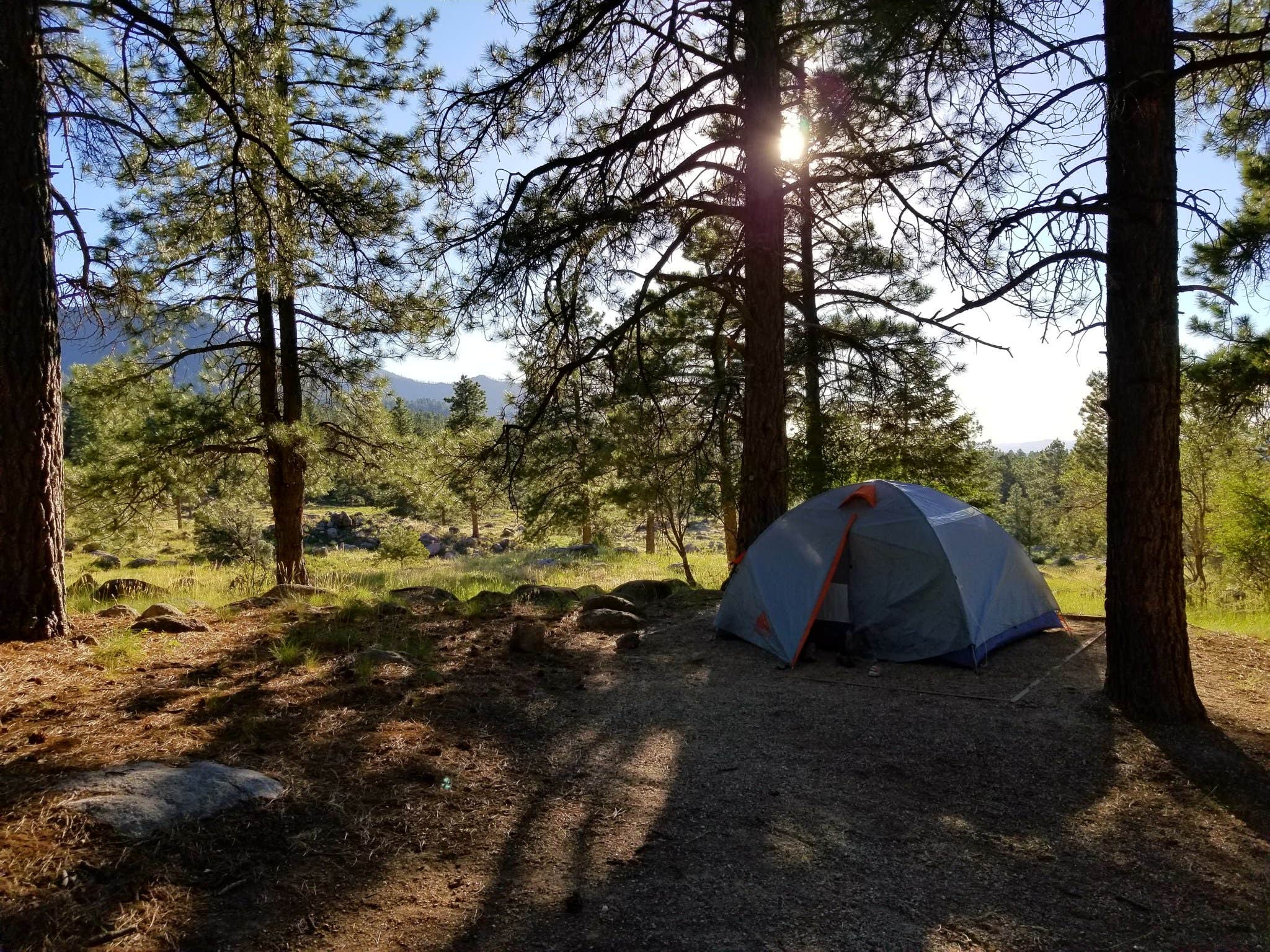 Camper submitted image from Effie Beckstrom Group Campground - 4