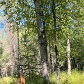 Review photo of Lake Lucile Campground by Tanya B., September 6, 2020