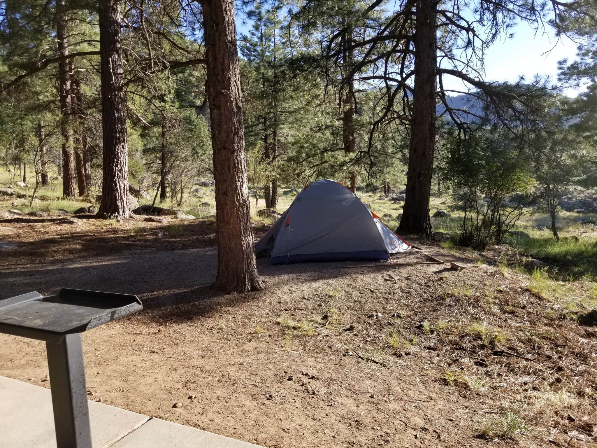 Camper submitted image from Effie Beckstrom Group Campground - 2