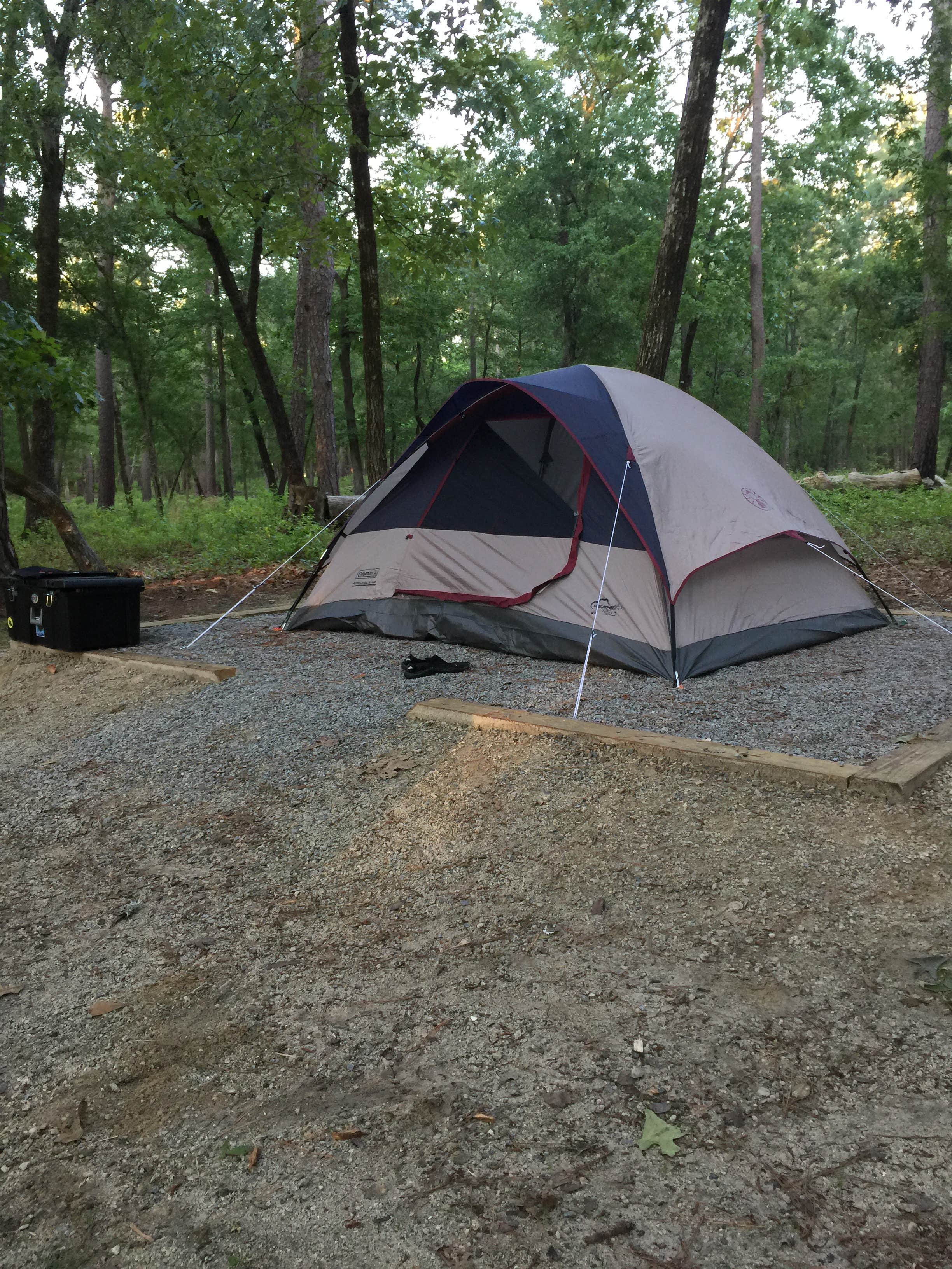 Charles G.'s photo at Goose Creek State Park Campground near Washington, NC